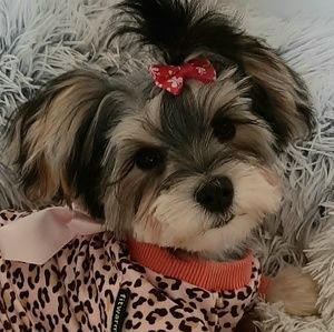 Meet your Posher, Diane